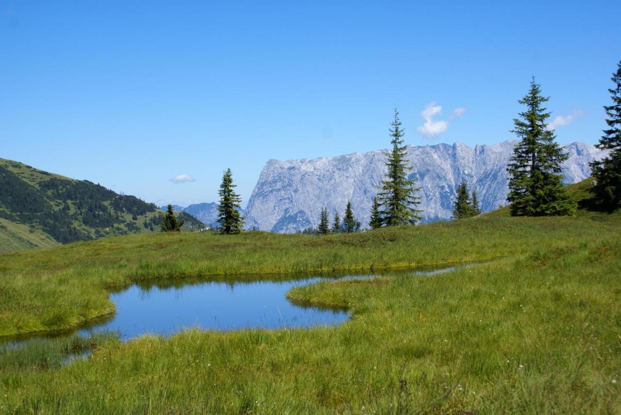 Mühlbach am Hochkönig Das Sonneck מראה חיצוני תמונה