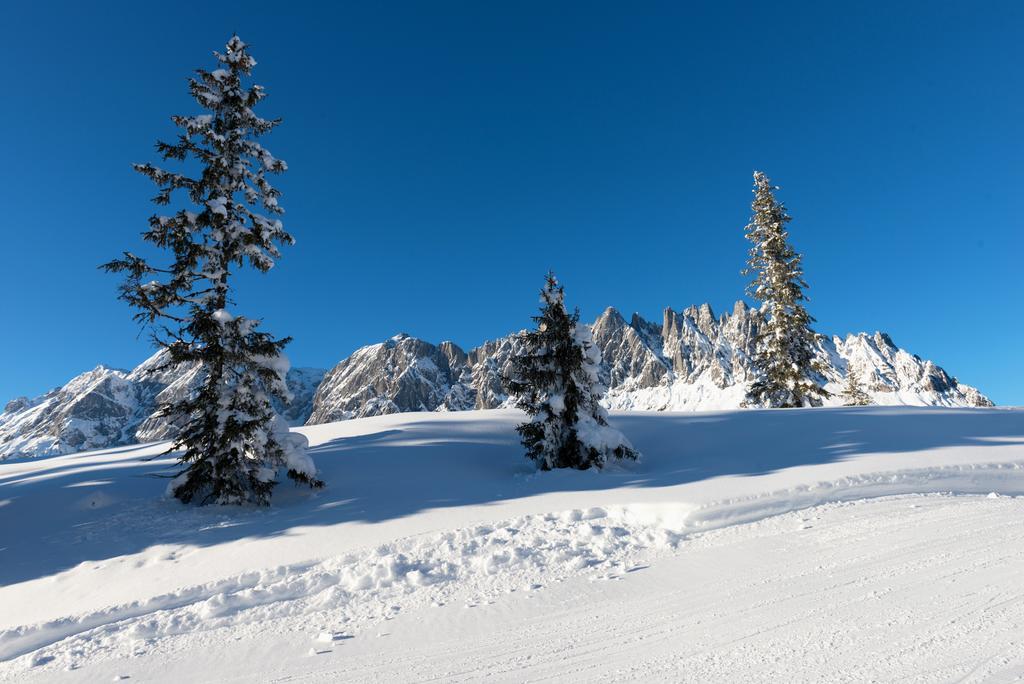 Mühlbach am Hochkönig Das Sonneck מראה חיצוני תמונה